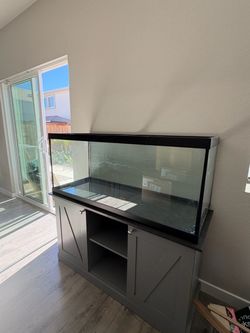 Fish Tank