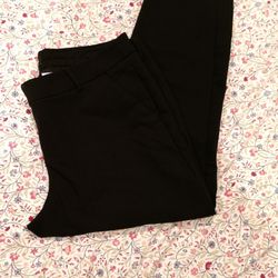 Women Express Columnist ankle pants