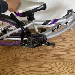 Evo Tag Along Bike Trailer