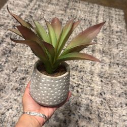 Artificial Plant Decor Gray Base $10.00