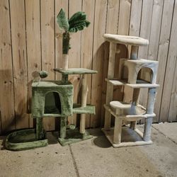 For Cats. 30$ For Each 