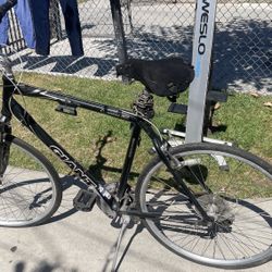 Giant Cypress DX (Black)