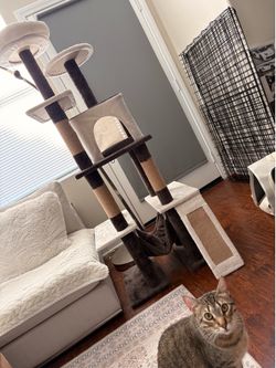 Cat Condo