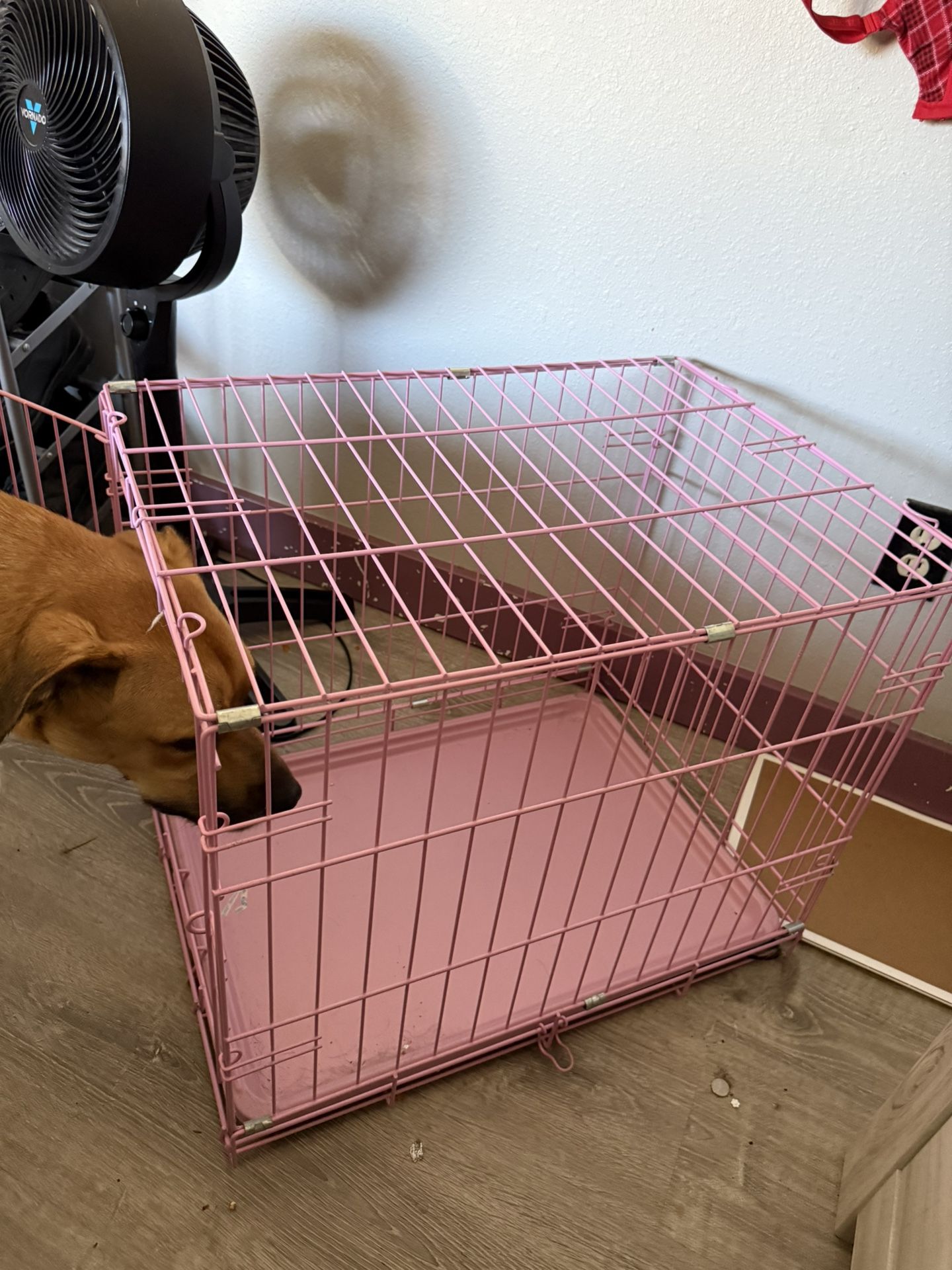 Pink Kennel And Two Beds One New Other Slightly Used