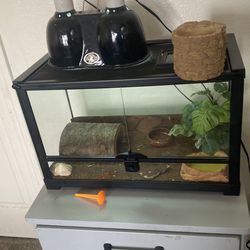 Leaped guecko cage small baby