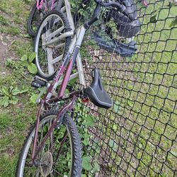 26in Bike 