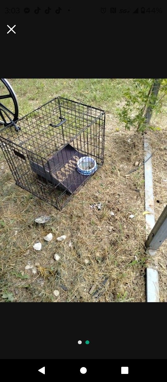 Medium Sized Dog Kennel Good Condition