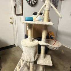Cat Things
