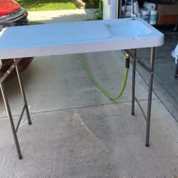 Fish Cleaning Station 