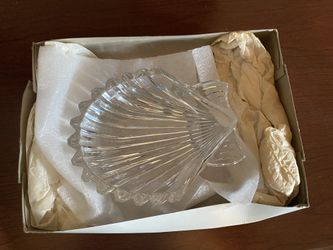 New decor 6” inches shell glass