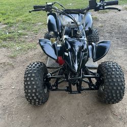 Quad Swapped With a 160gx Honda 