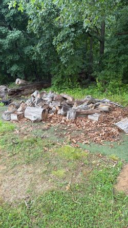 Free camping wood