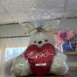 Teddy Bear 