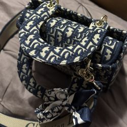 Beautiful purse brand new