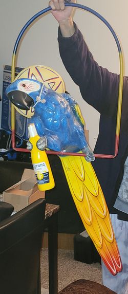 Rare Corona Parrot Swinging With Sambrero