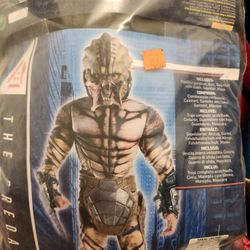 Halloween Costume 