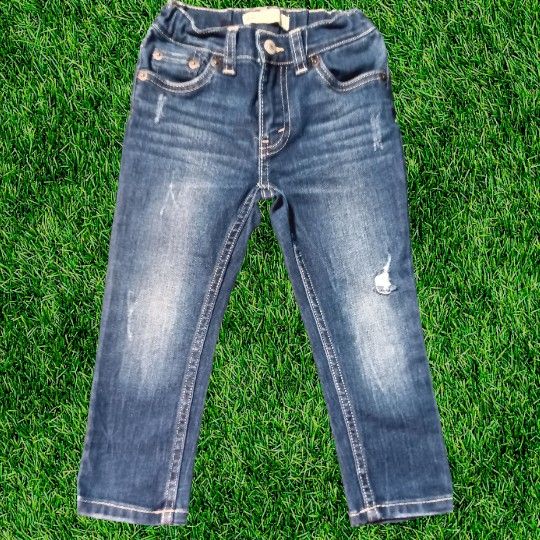 Levi's Little Boys 510 Skinny Fit Everyday Performance Jeans
