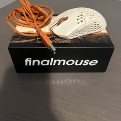 Final mouse Cape town