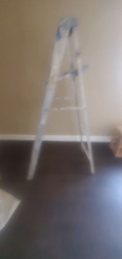 Werner ladder $20