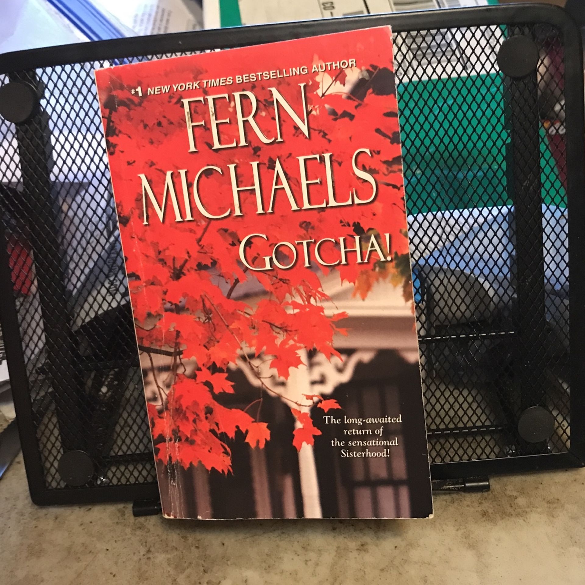 Gotcha (paperback)