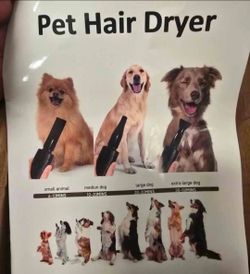 Pet dryer gromming