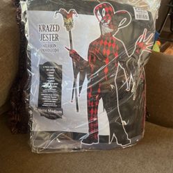 Child Medium Jester Halloween Costume 