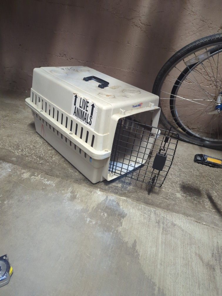 Cat / Small dog Carrier