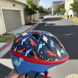 Kids Dinosaur Bike Helmet