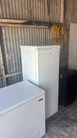 Stand up freezer— very clean
