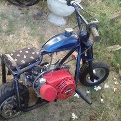 Mini Bike 