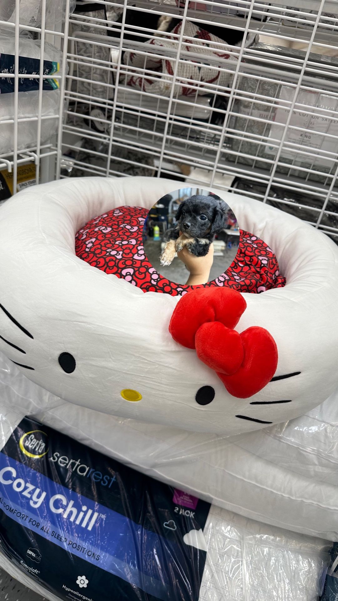 Hello Kitty Bed