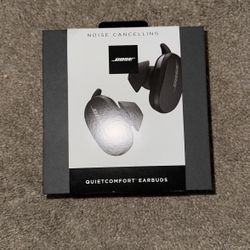 Bose Quiet Comfort Earbuds  