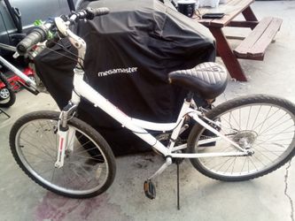 Nishiki Tamarack bicycle