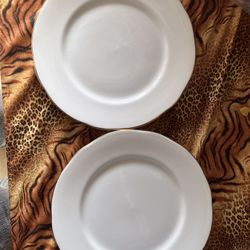 Variety Of Plates/Dishes