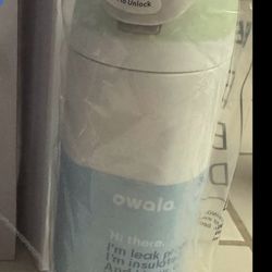 Owala Tumblr