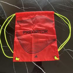 Adidas predator Pro FT FG Jude Bellingham Shoe Bag 