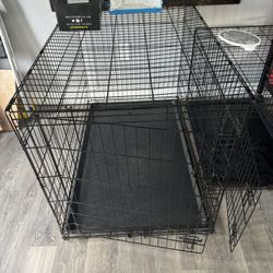 Lager Dog Cage