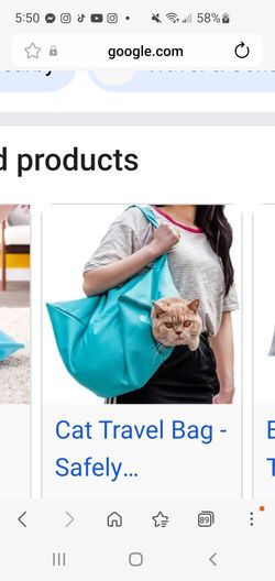 Aberfields Cat carrying bag