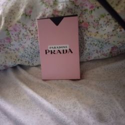 Prada paradoxes minis