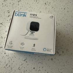 Blink Mini Plug In 