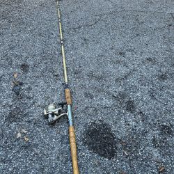 fishing rod and reel 