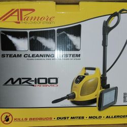 Steam Cleaner