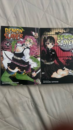 Two Random Demon Slayer Books