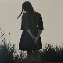 Custom Mounted Wall Decor "The Parts That Showed," Viking Moses