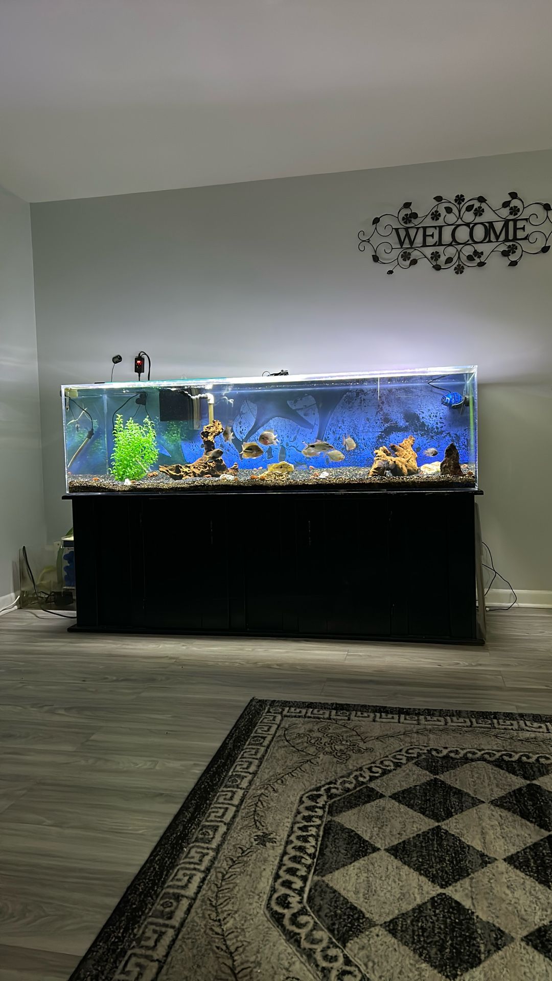 150 Gallon Acrylic Aquarium