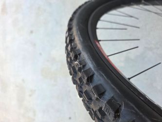 29" wheel