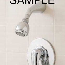 RELIANT+ Pressure Balance Shower with Metal Handle – 1495.501.020 