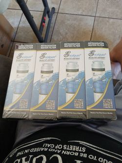 Refrigerator Water Filter