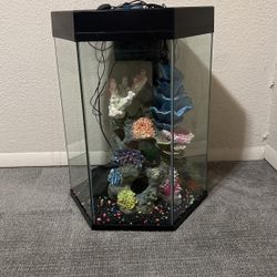 20 Gallon Hexagon Fish Tank