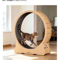 Cat Wheel
